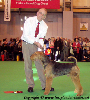 1daedal hi mr webster