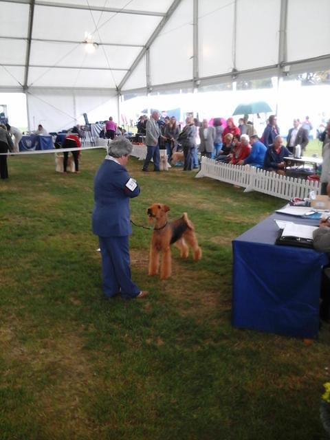 Richmond Championship Dog Show