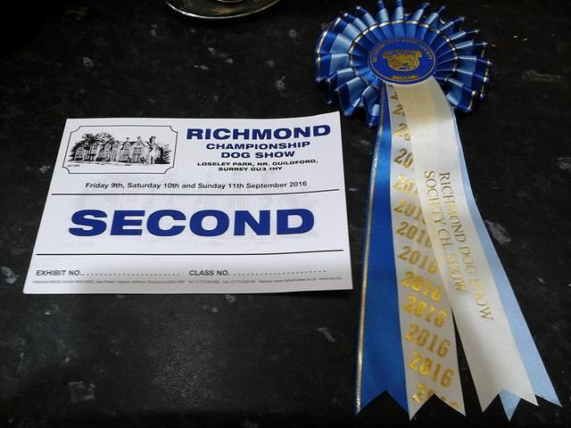 Richmond Championship Dog Show