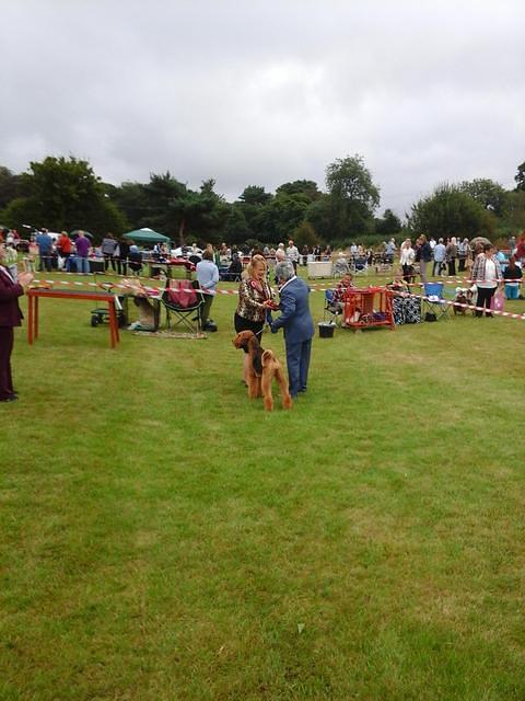 SHERINGHAM GORLESTONE & DISTRICT CANINE SOCIETY