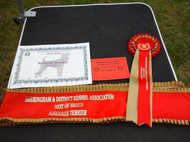 sHERINGHAM GORLESTONE & DISTRICT CANINE SOCIETY