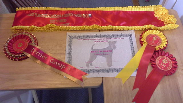 Today's Awards Great Yarmouth Gorlestone & District Canine Society