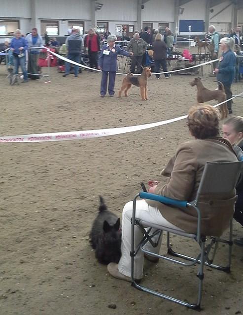 Hitchin & District Canine Society