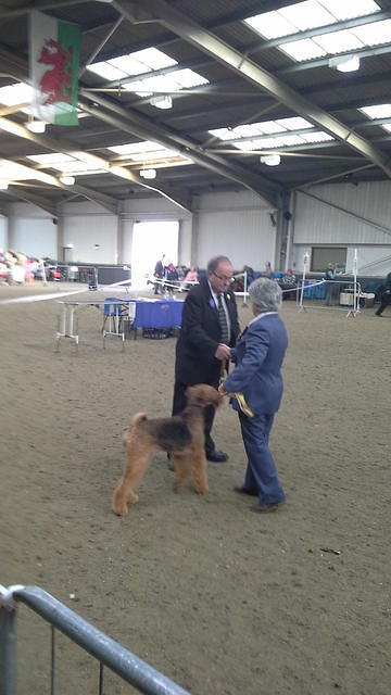 Hitchin & District Canine Society