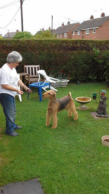 "Susan" "Brisline's Born In The USA For Daedal"