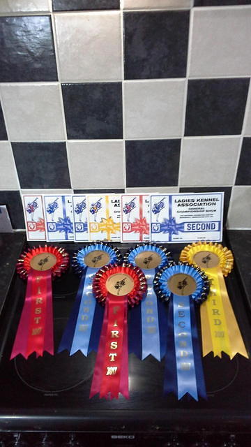 DAEDAL A TOUCH OF FROST & DAEDAL FROZEN IN TIME