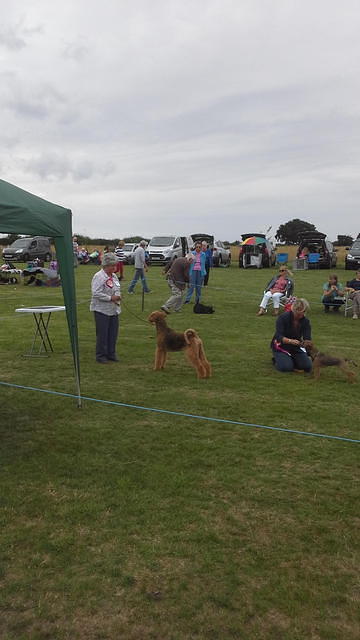 THETFORD & DISTRICT CANINE SOCIETY