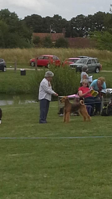 THETFORD & DISTRICT CANINE SOCIETY