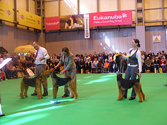 2335601242 7b7ce43bd9 m