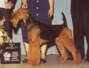 Am/Can Champion Highpoints Dakota