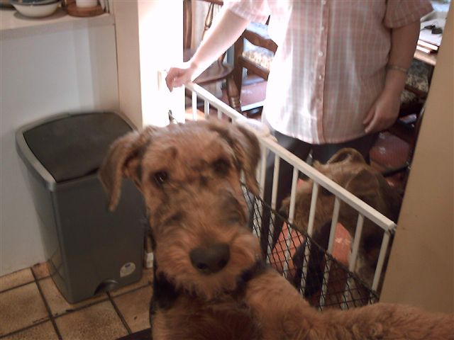 Michael Helping In The Kitchen