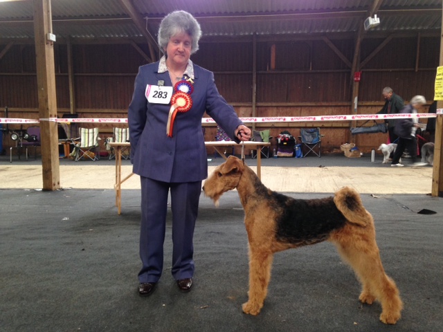 Susan Suffolk Agricultural show 2014