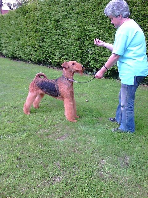 Brislines Born In The USA For Daedal