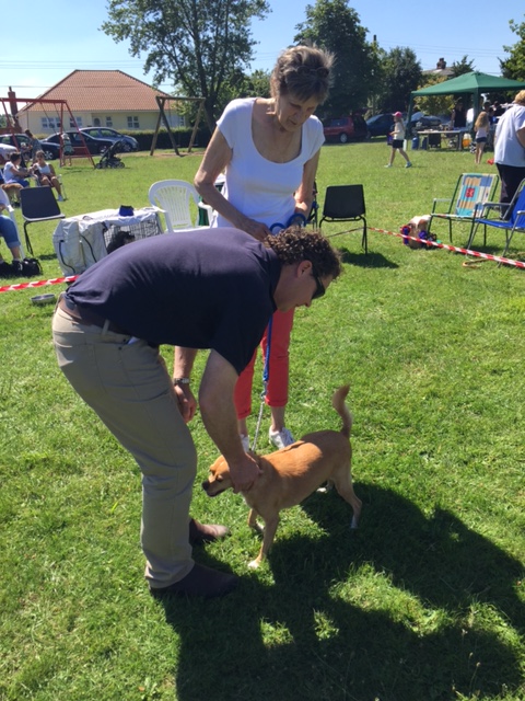 FUN DOG SHOW 2015