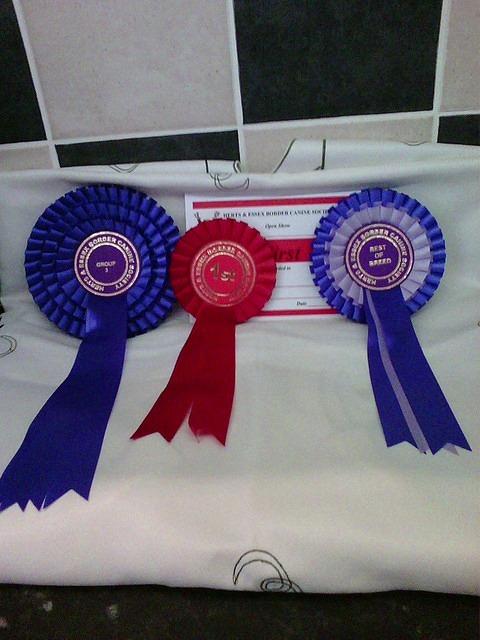 Herts and Essex Border Canine Society