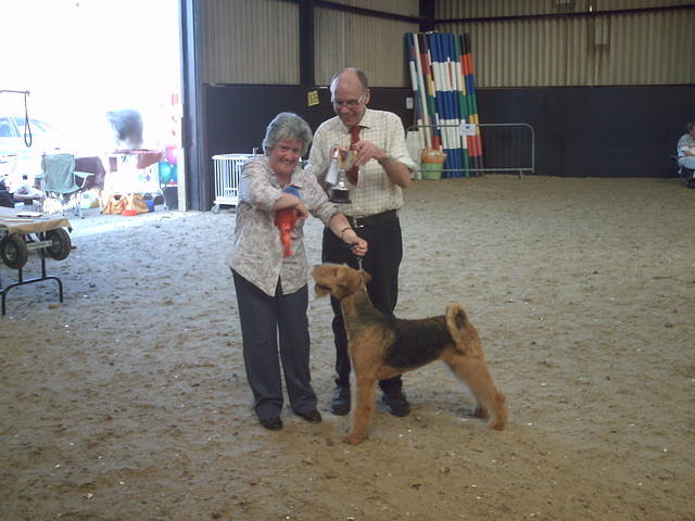 lowestoft show 2014 009