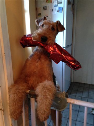 Susan And Her First Present