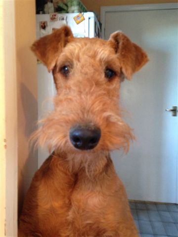 Susan lookig for her present