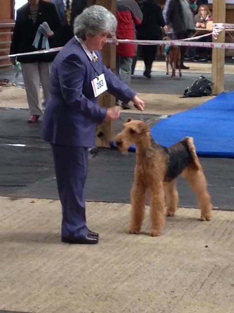 Brislines Born In The USA For Daedal (Susan)