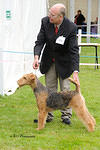 Suffolk Show 2013