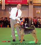 1daedal hi mr webster