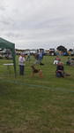 THETFORD & DISTRICT CANINE SOCIETY