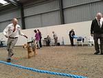 ACTION SHOT OF MARTHA CLACTON DOG SHOW 2013
