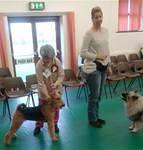 Brislines Born In The USA For Daedal