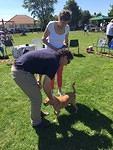 FUN DOG SHOW 2015