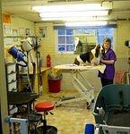 grooming room 2010 001 copy